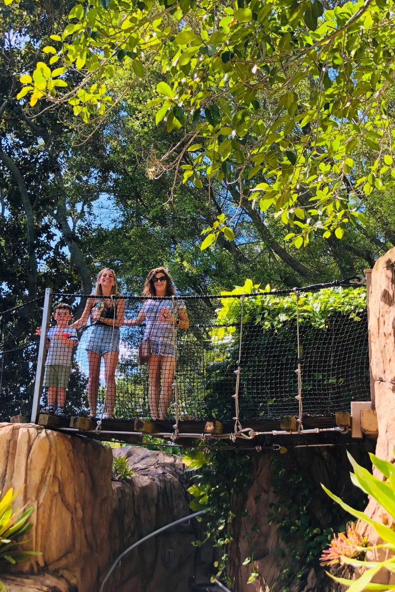 Beautiful places to visit in Florida is Marie Selby Botanical Gardens in Sarasota