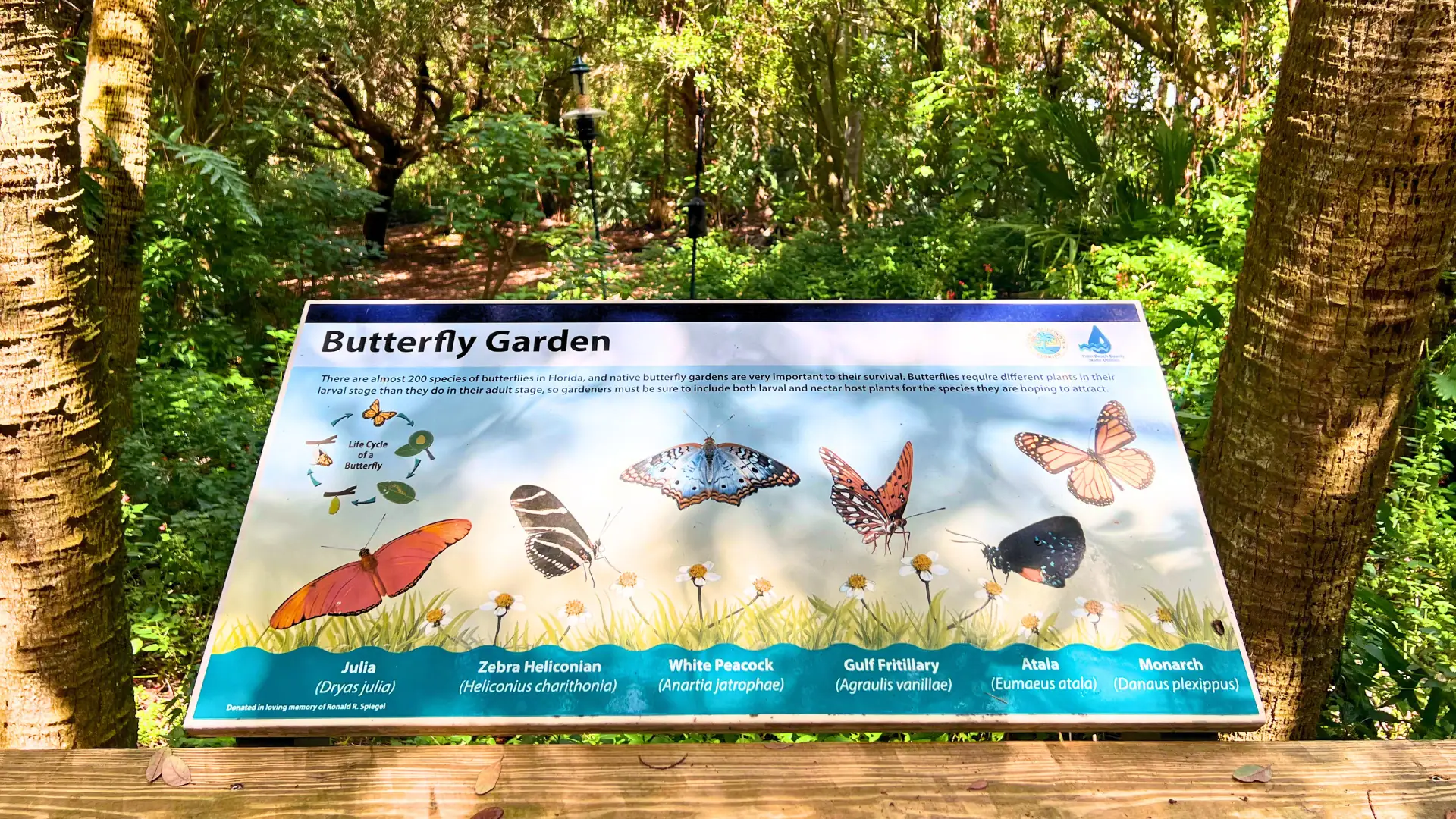 Sign reading Butterfly Garden with six types of butterflies you see at Green Cay Wetlands and Nature Center in Palm Beach Florida