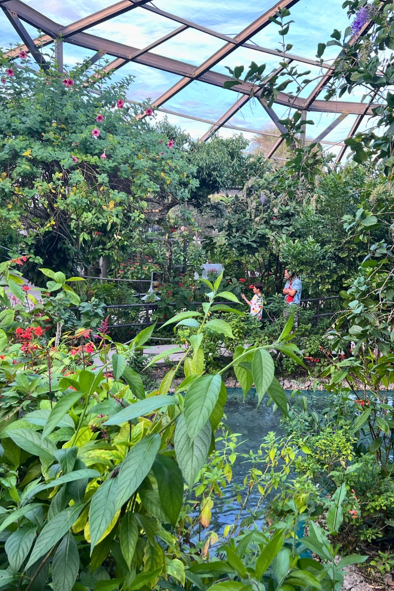 Internal view of Butterfly World in South Florida, the largest Butterfly garden in the state