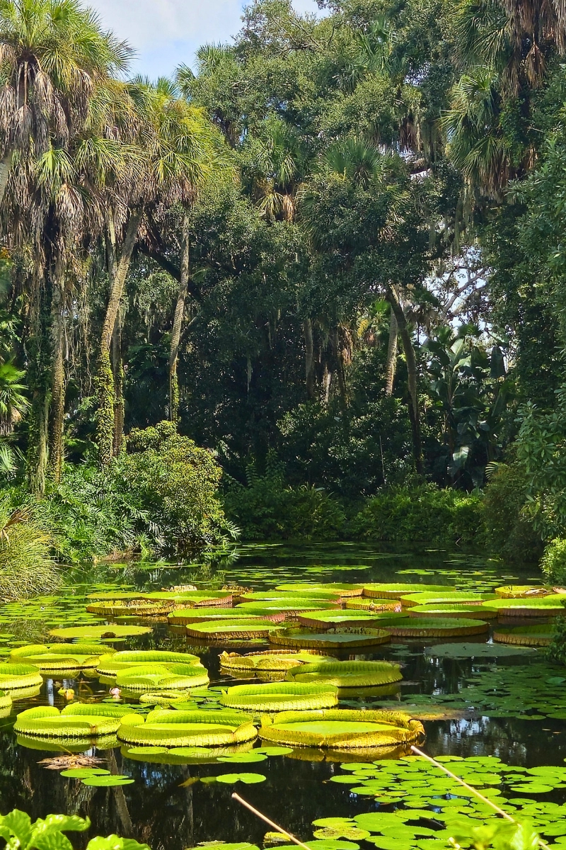 Lake Wales Florida is a hidden gem when looking for places to go in Florida for relaxing vacation