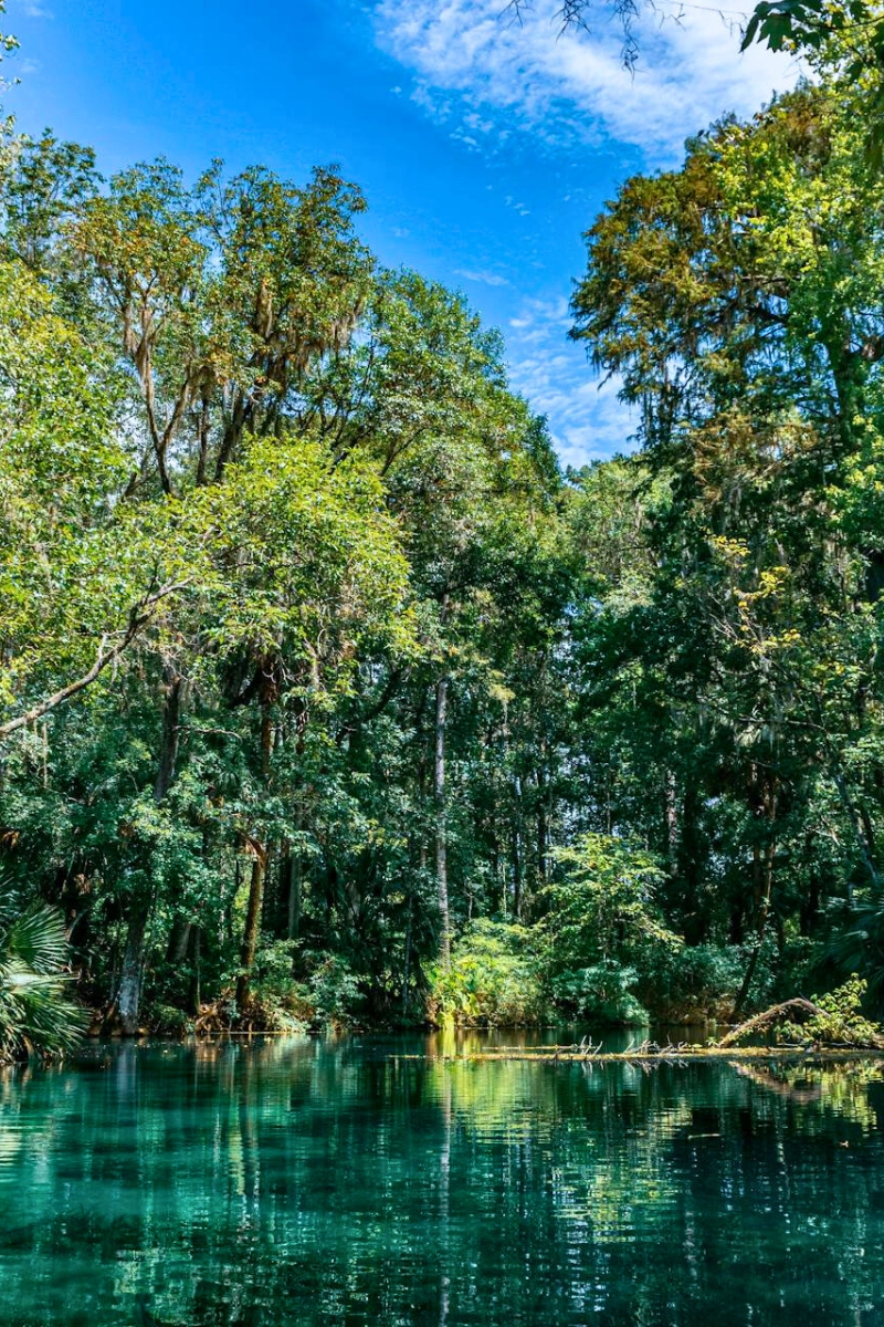scenic view of turquoise waters in Ocala Florida