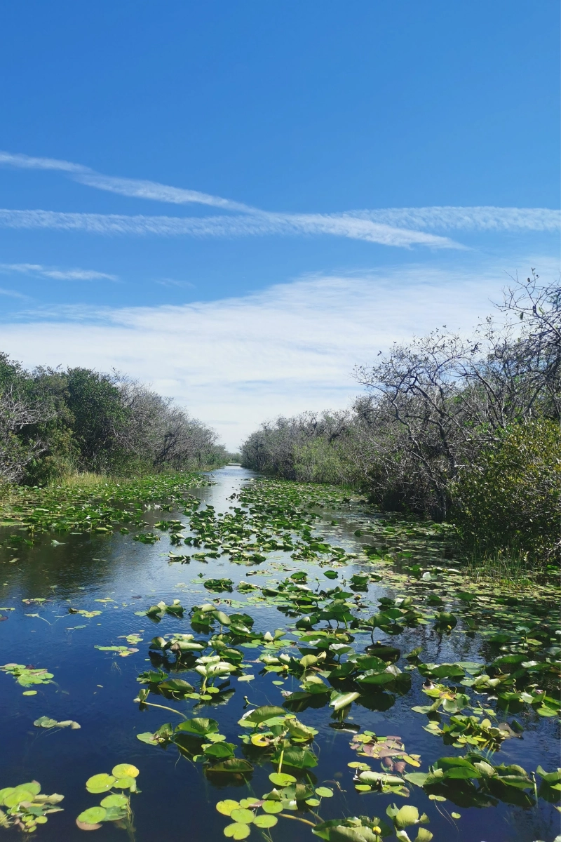 scenic photo of Florida Wildlife and Green Cay Wetlands