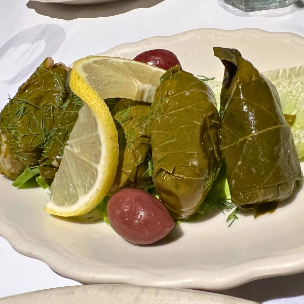 dolmathakia grape leaves with dill and olives at Greek Islands Taverna authentic Greek food in Fort Lauderdale Florida