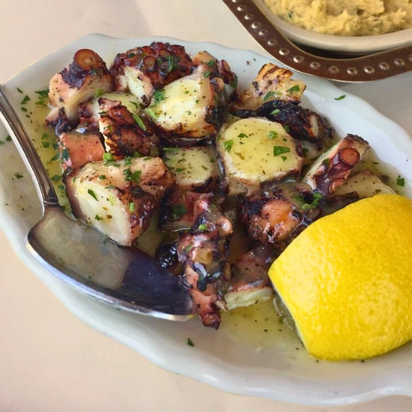 grilled octopus with butte and lemon at Greek Islands Taverna authentic Greek food in Fort Lauderdale Florida