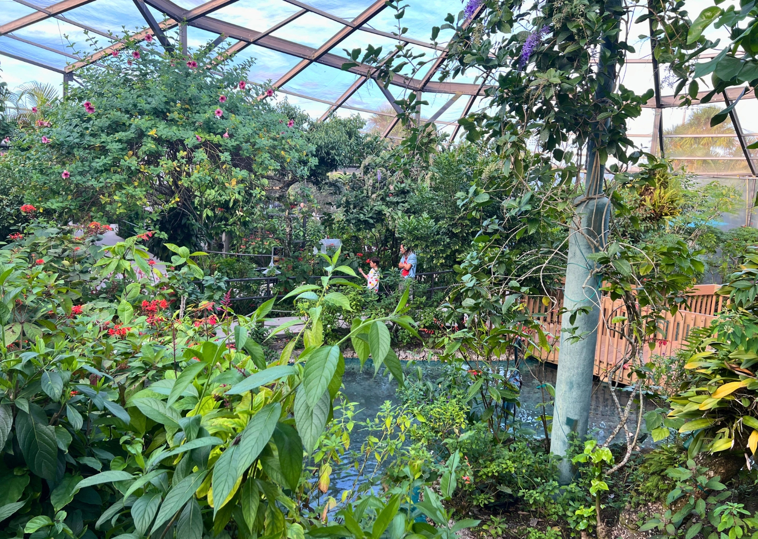 Photo of enclosed butterfly atrium in Butterfly World in South Florida