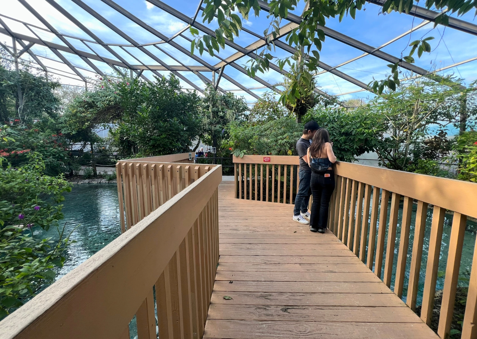 Photo of enclosed butterfly atrium in Butterfly World in South Florida