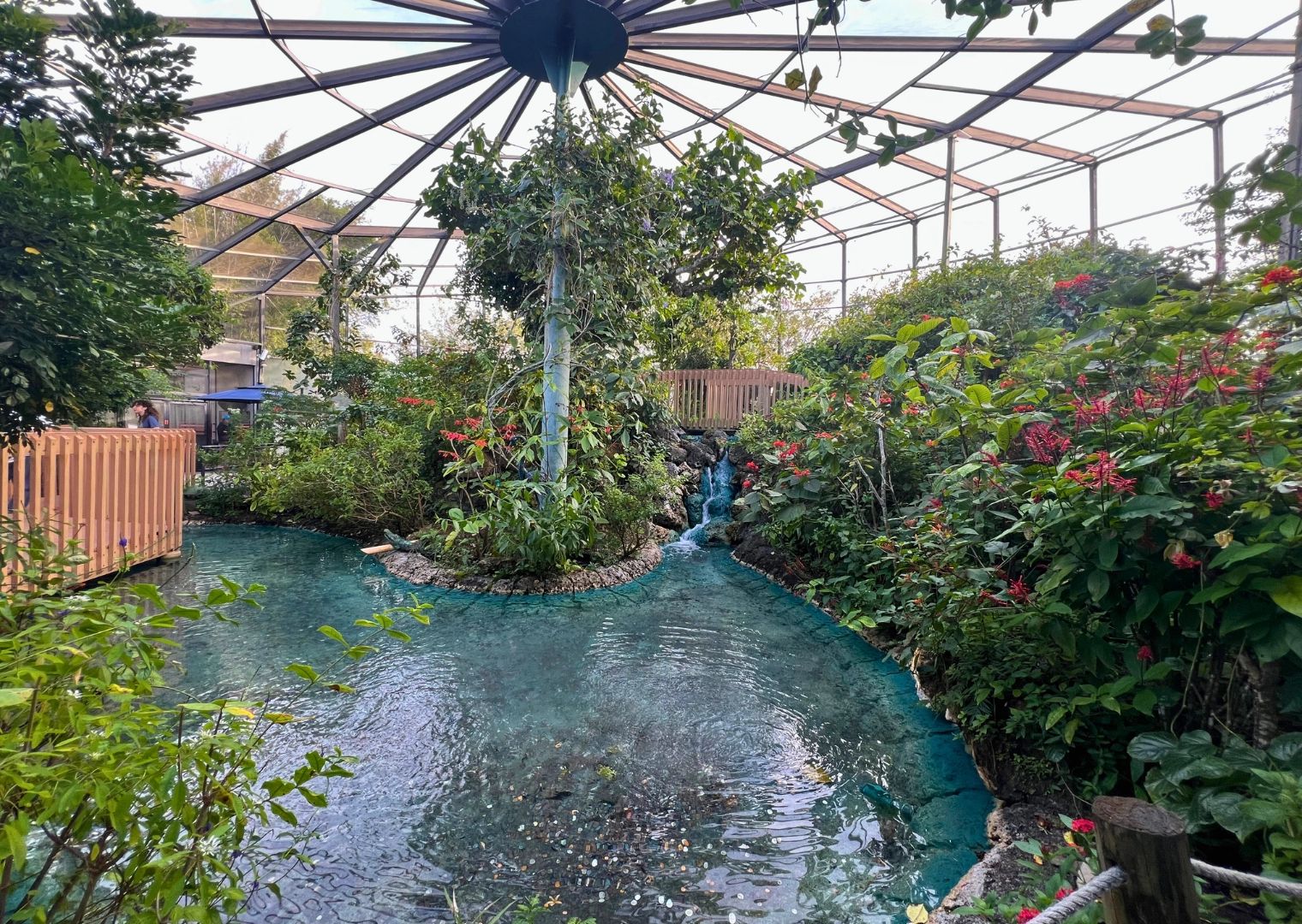 Photo of enclosed butterfly atrium in Butterfly World in South Florida