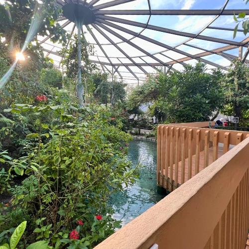 Photo of enclosed butterfly atrium in Butterfly World in South Florida