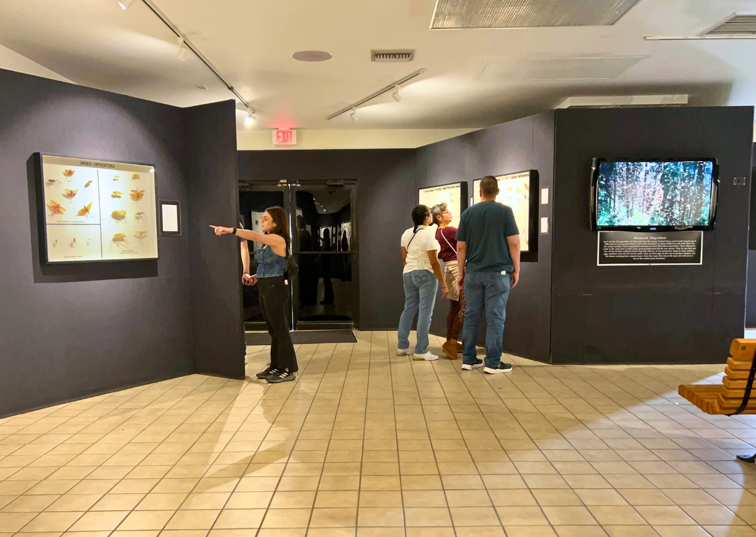 people inside Butterfly Museum at Butterfly World South Florida