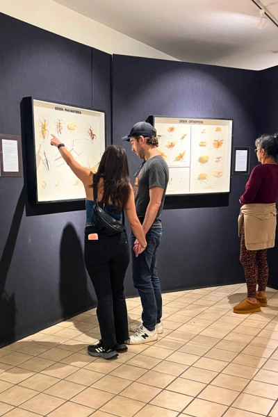 people looking and pointing at preserved arachnida through glass inside Butterfly Museum at Butterfly World South Florida