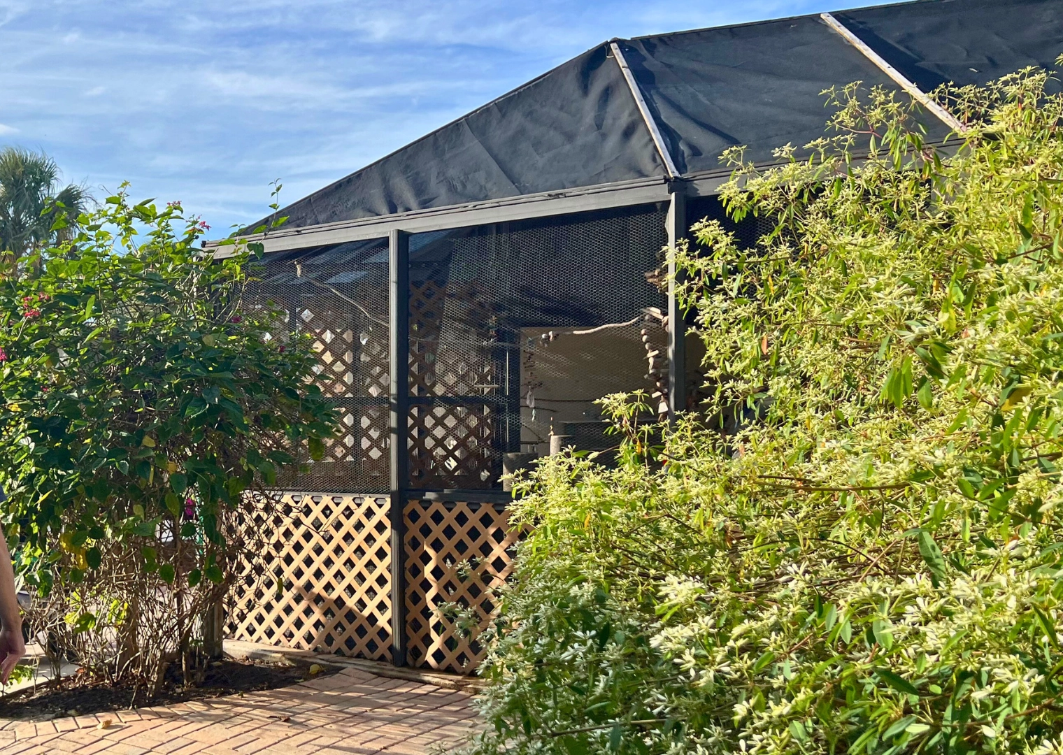 Outside area of lorikeet encounter at Butterfly world