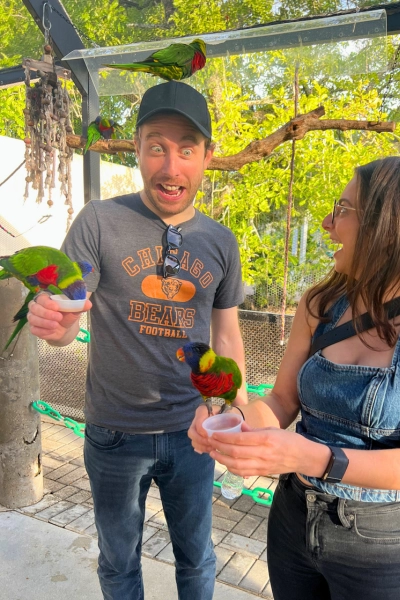 Photo of man and woman inside Lorikeet Encounter at Butterfly World in South Florida with four lorikeets eating from their hands and landing on head