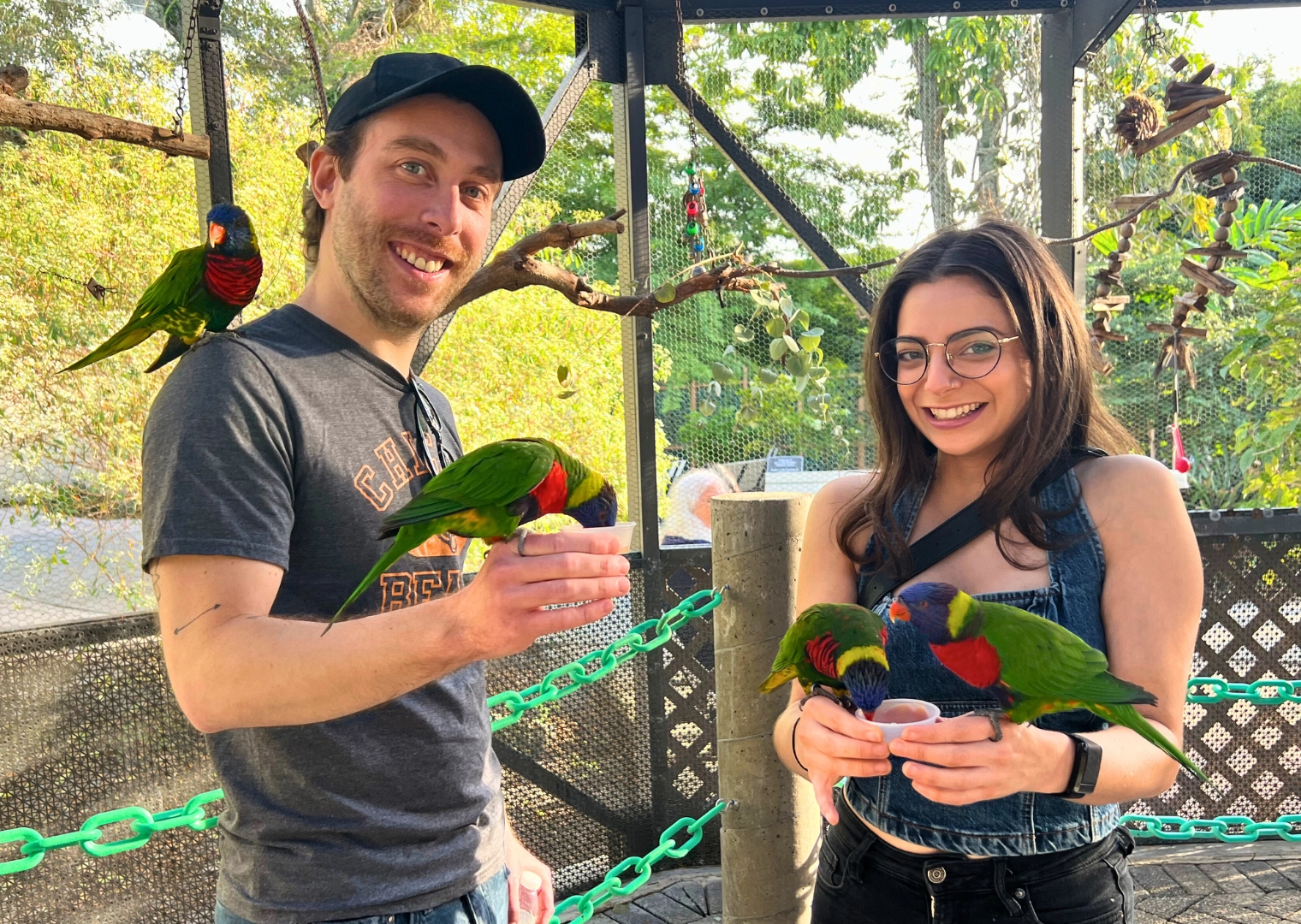 Photo of man and woman inside Lorikeet Encounter at Butterfly World in South Florida with four lorikeets eating from their hands