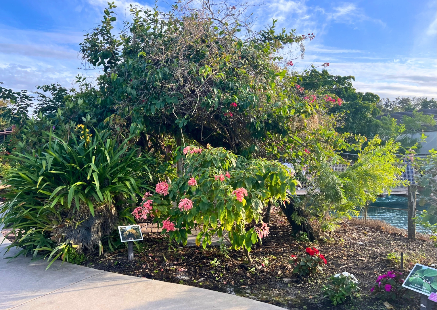 Gardens and plants at Butterfly World Florida