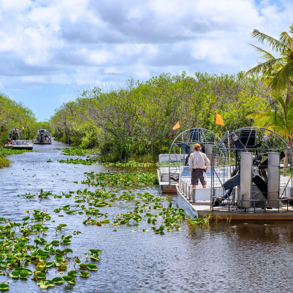 Things to do in Florida definitely try an Everglades Airboat Ride & Wildlife Adventure (Private)
