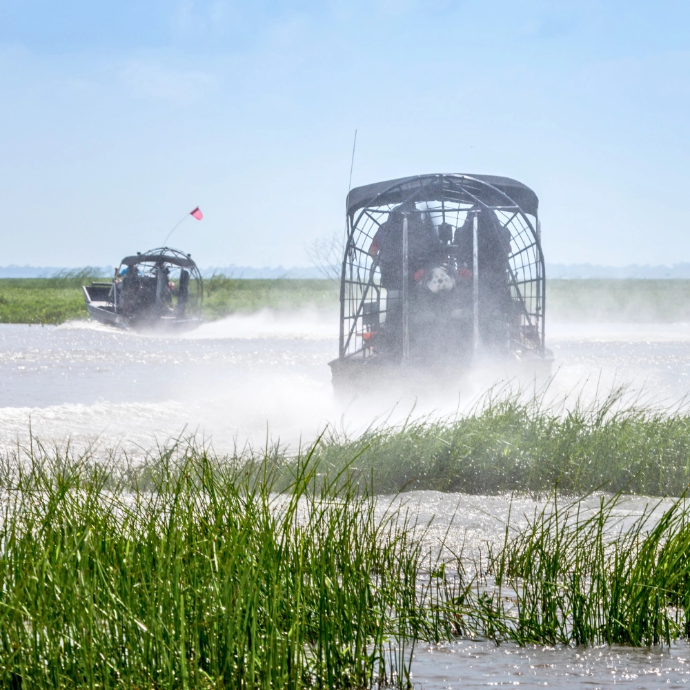 Things to do in Florida Everglades Holiday Park Airboat Tours & Rides