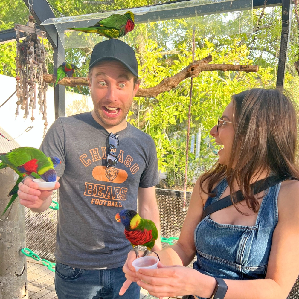 Lorikeets landing on visitors head a fun wildlife experience in South Florida