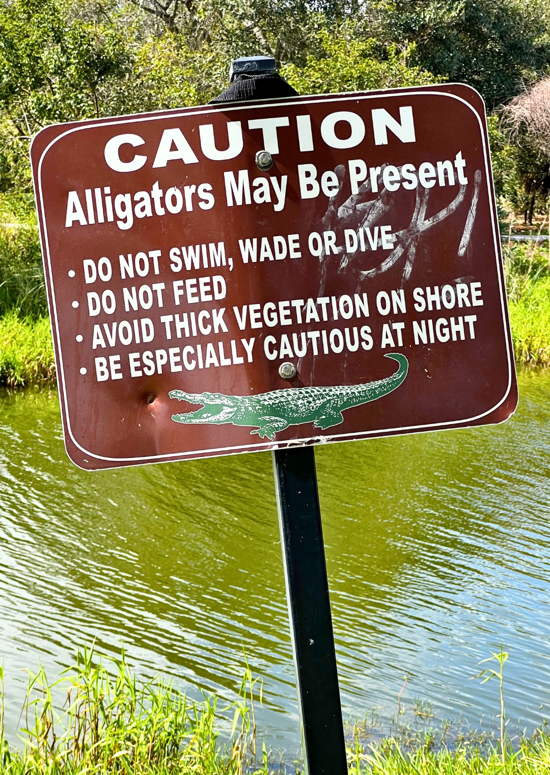 Pondhawk Natural Area sign reading Caution alligators may be present