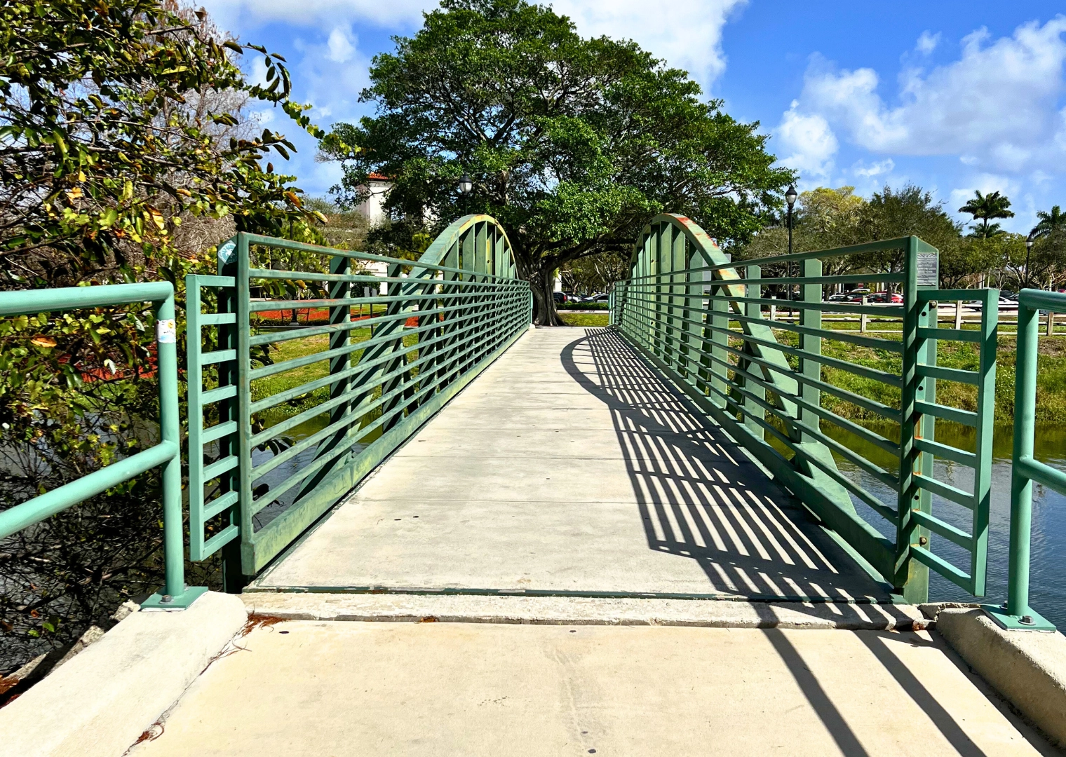 Bridge at Pondhawk Natural Area