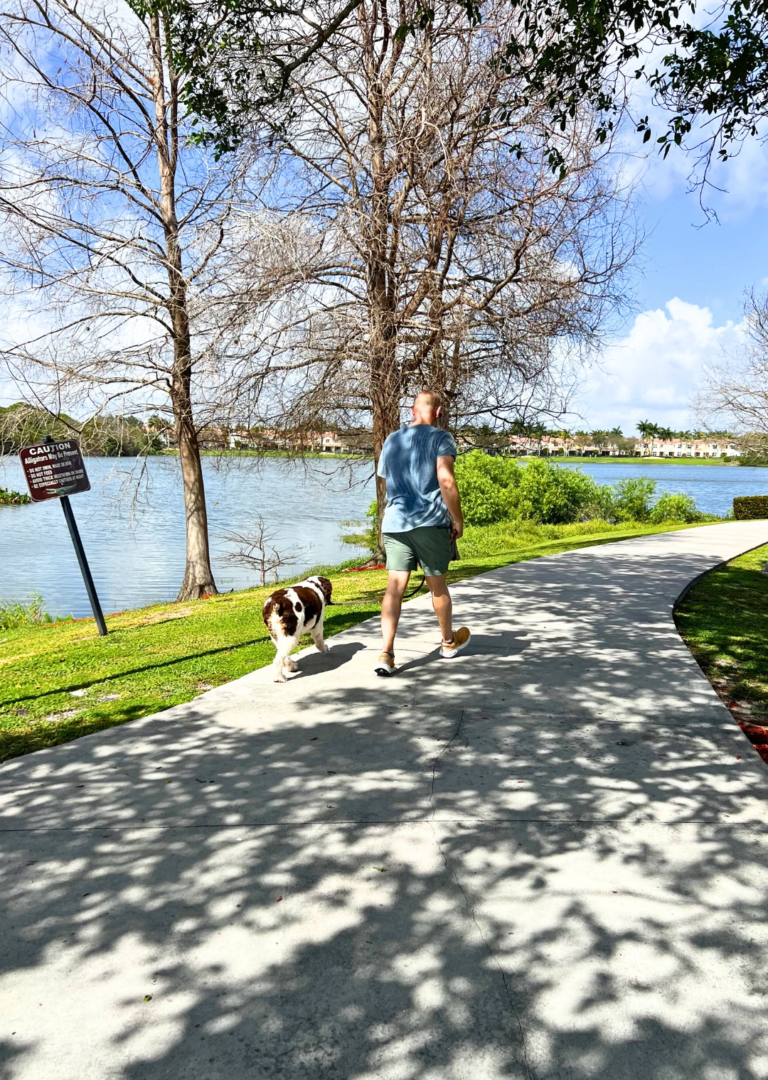 person walking dog on multiuse path at Pondhawk Natural Area
