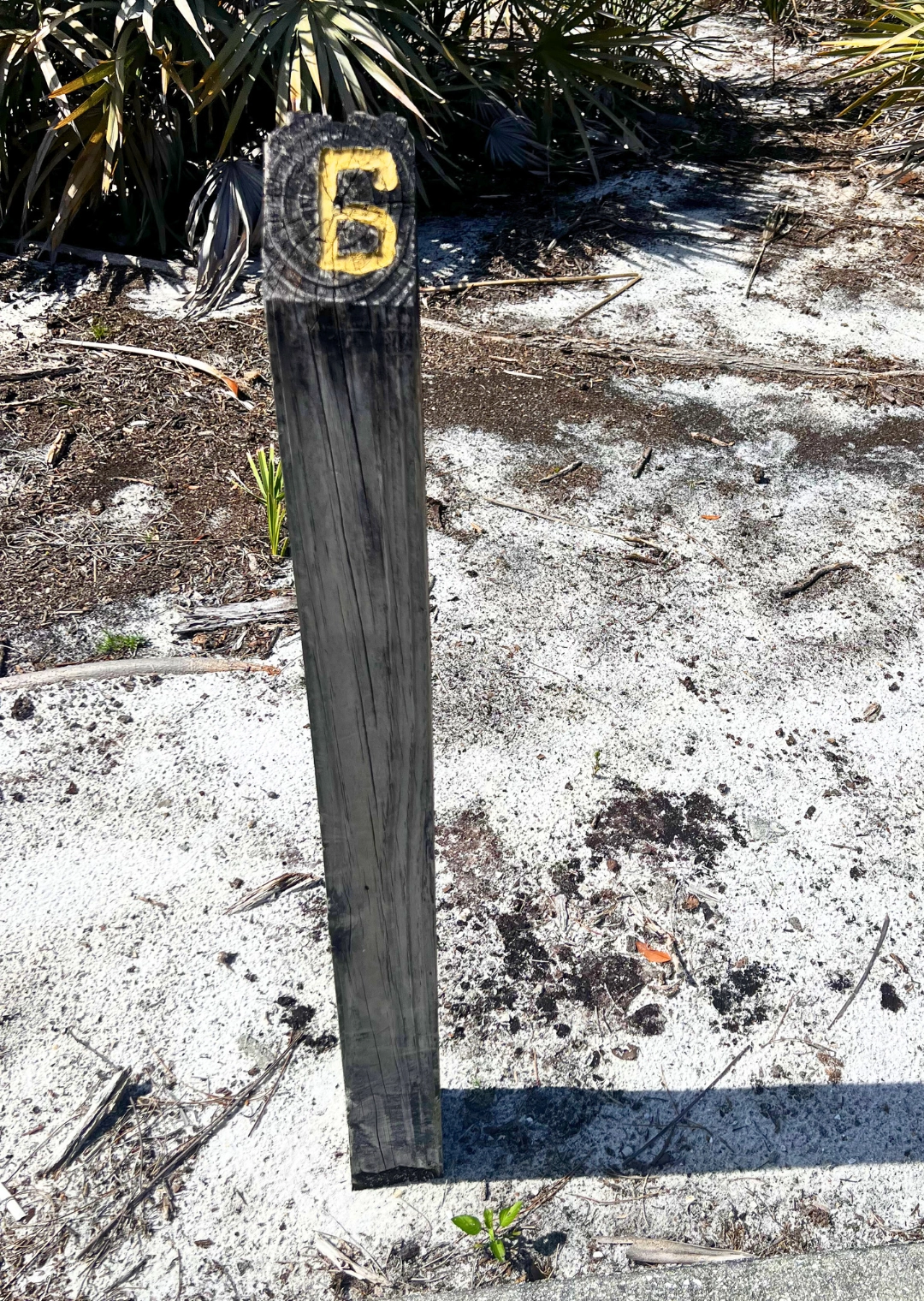 Pondhawk Natural Area Marker number 6