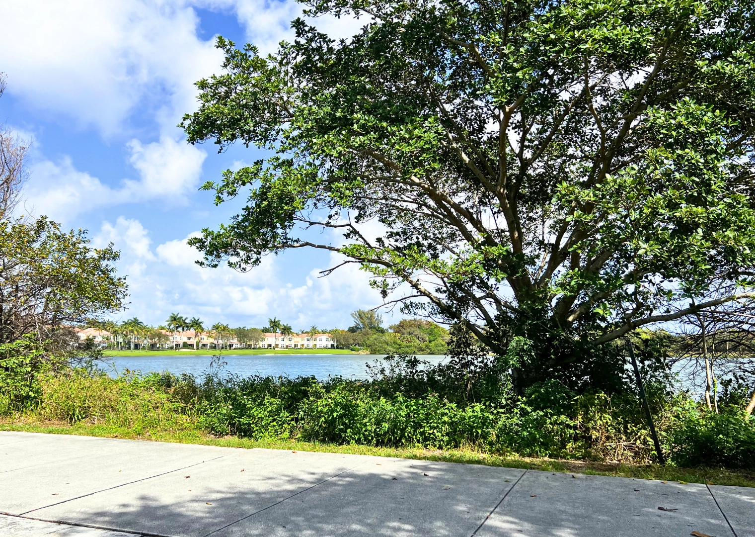 Pondhawk Natural Area view from path