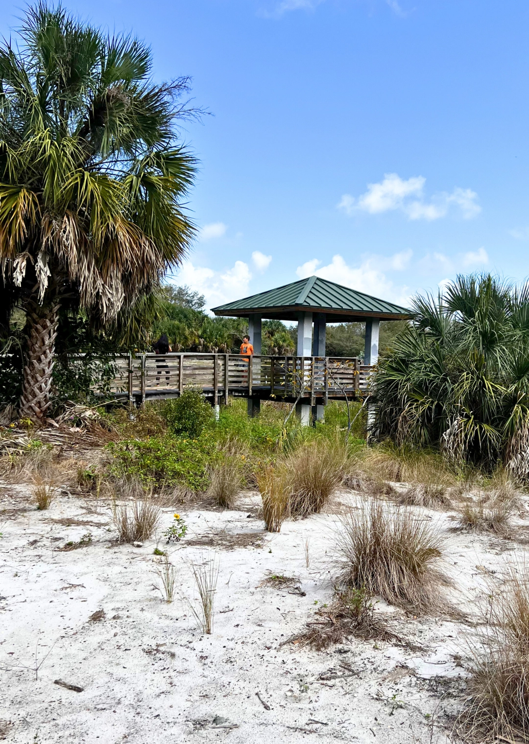 Pondhawk Natural Area Observation deck on trail with sandy area