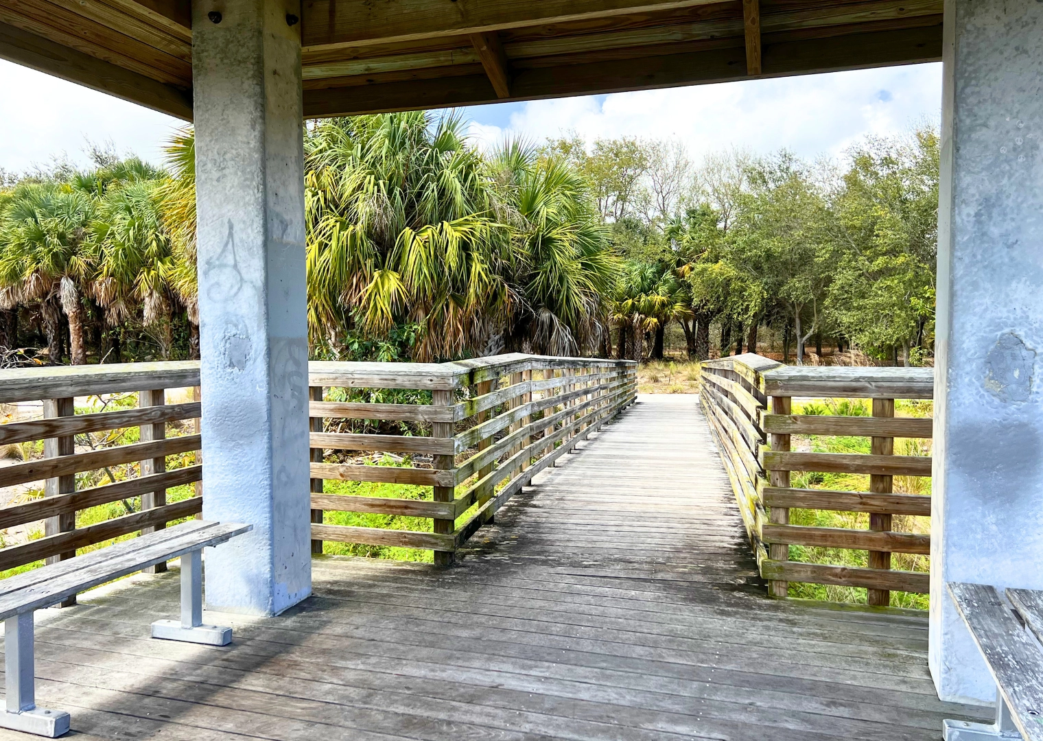 Pondhawk Natural Area inside observation deck