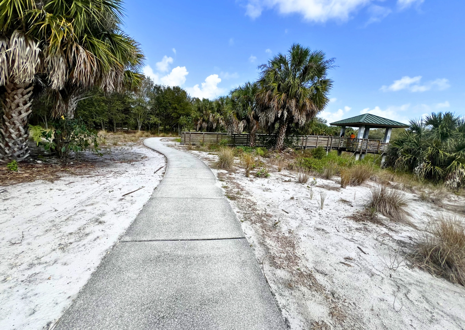path and observation deck at Pondhawk Natural Area