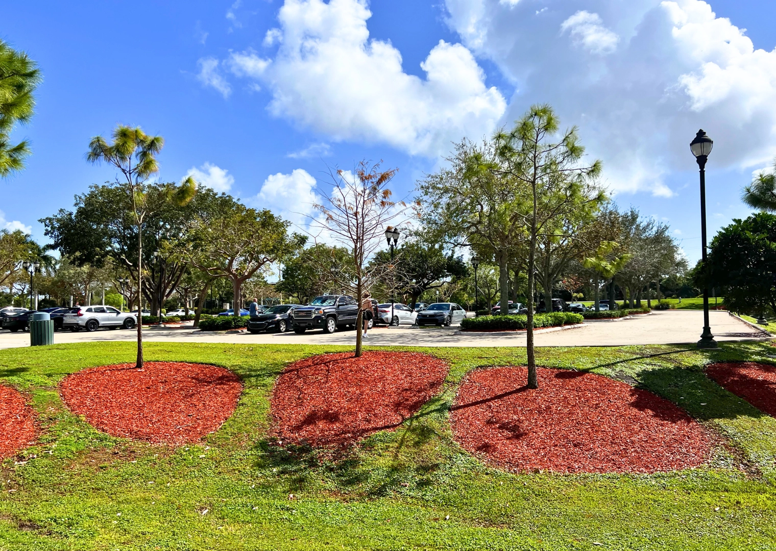 Pondhawk Natural Area Parking Lot