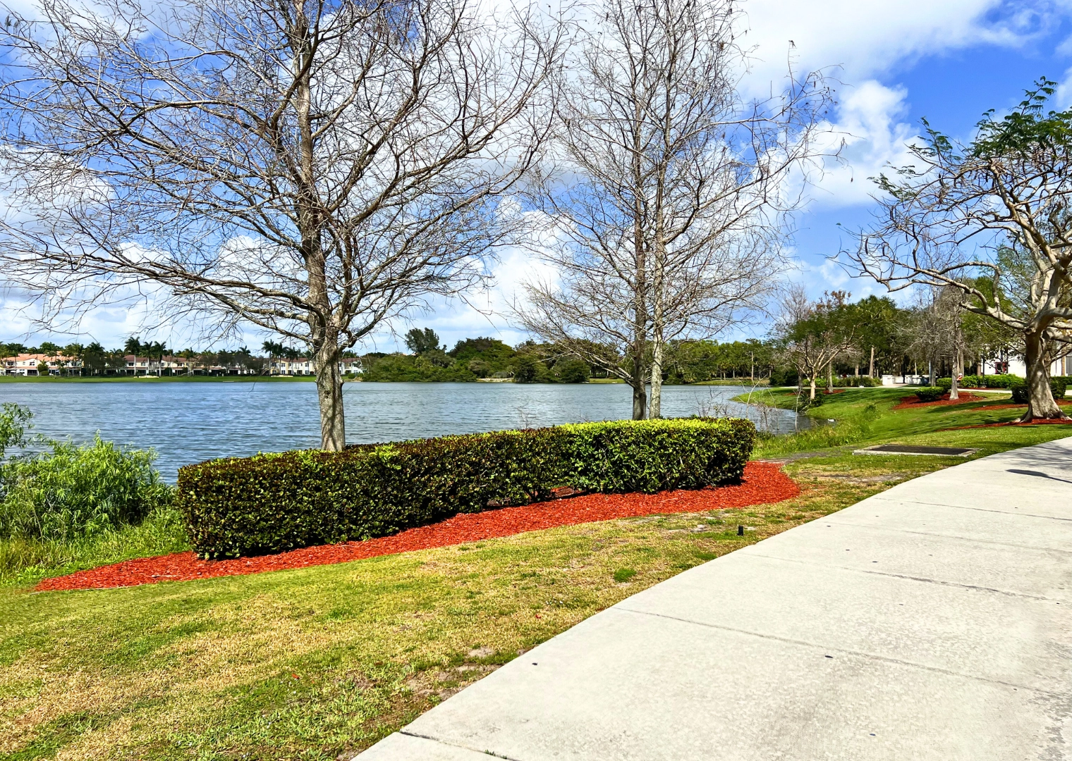 Pondhawk Natural Area paved path to Spanish River library