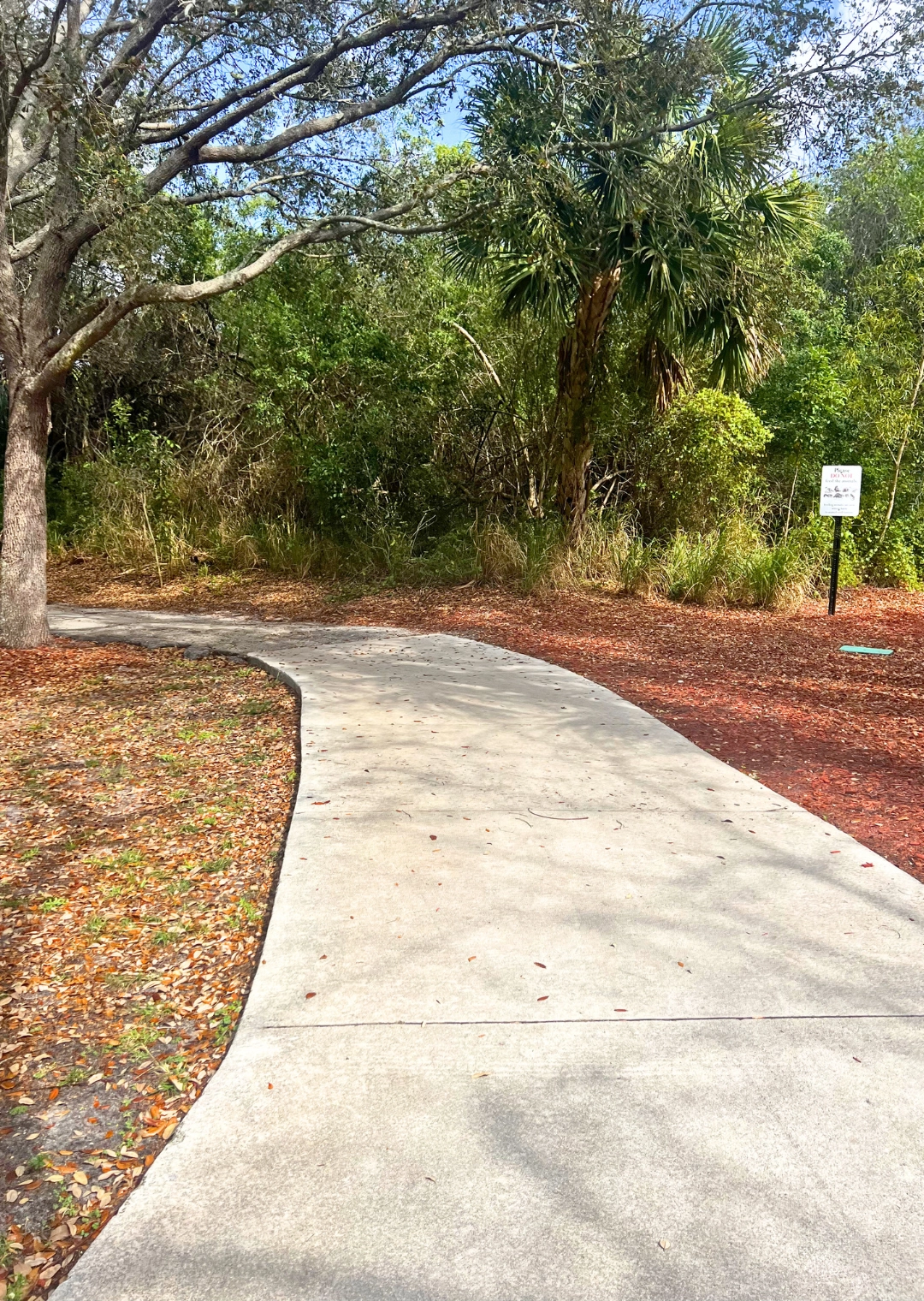 Entry of blue lake loop next to the library on the east side of Pondhawk Natural Area