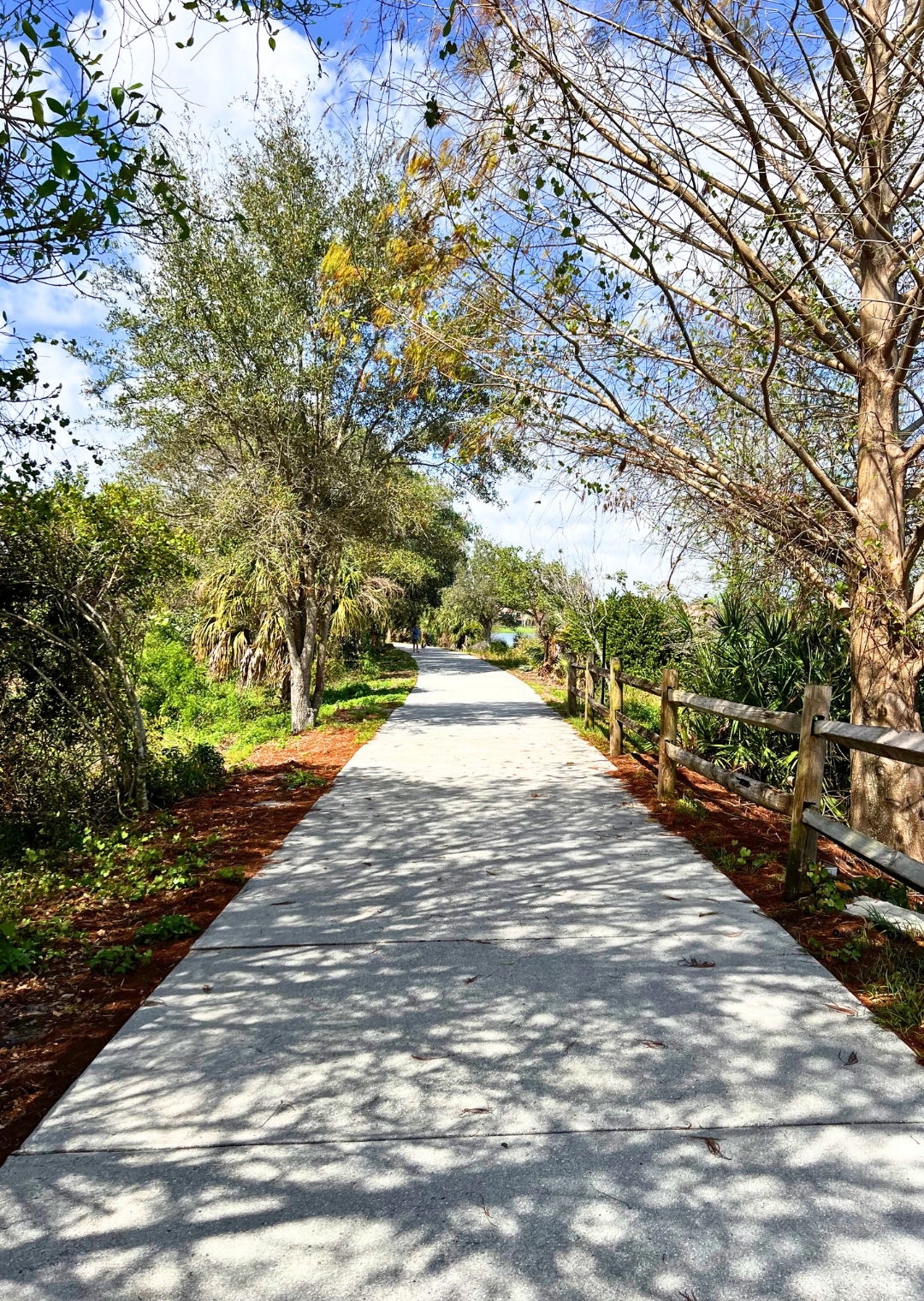 Pondhawk Natural Area paved path dog walk