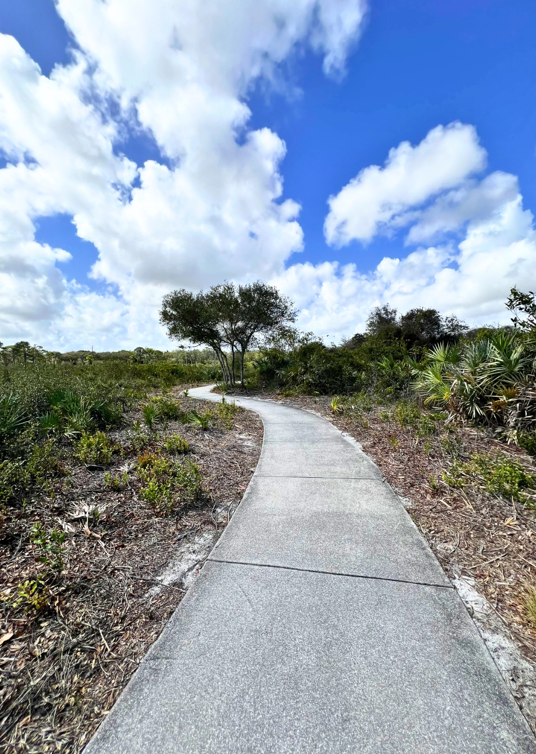 storywalk path Pondhawk Natural Area south trail