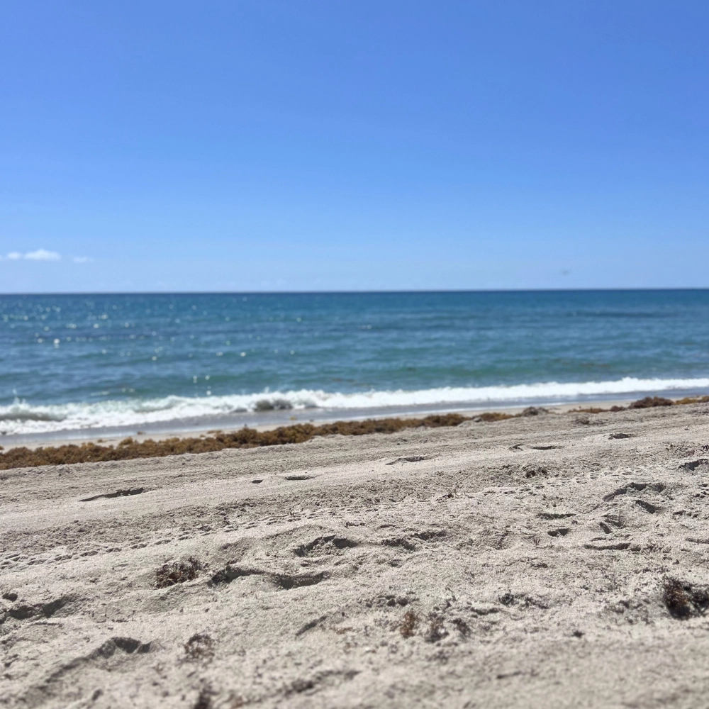 things to do in South Florida go to Red Reef Park a Beach in Boca Raton