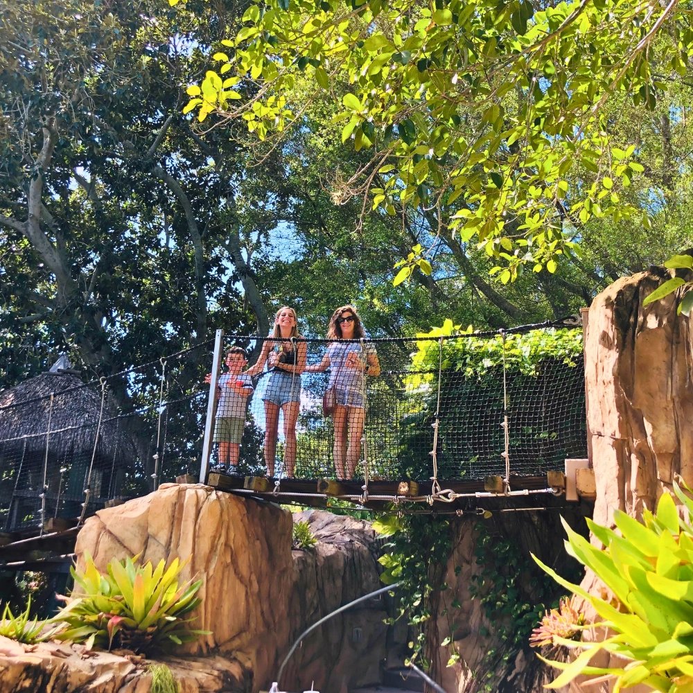 Top things to do in Florida take a nature walk through South Florida