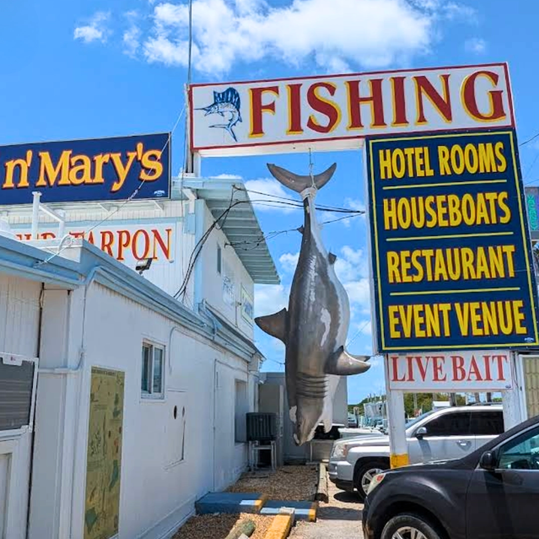 Bud n Marys Fishing Islamorada in the Florida Keys