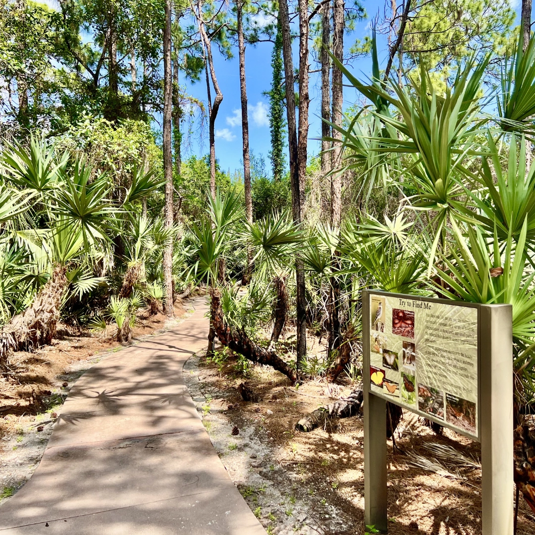 Helene Klein Broward National Preserve in Fort Lauderdale Florida