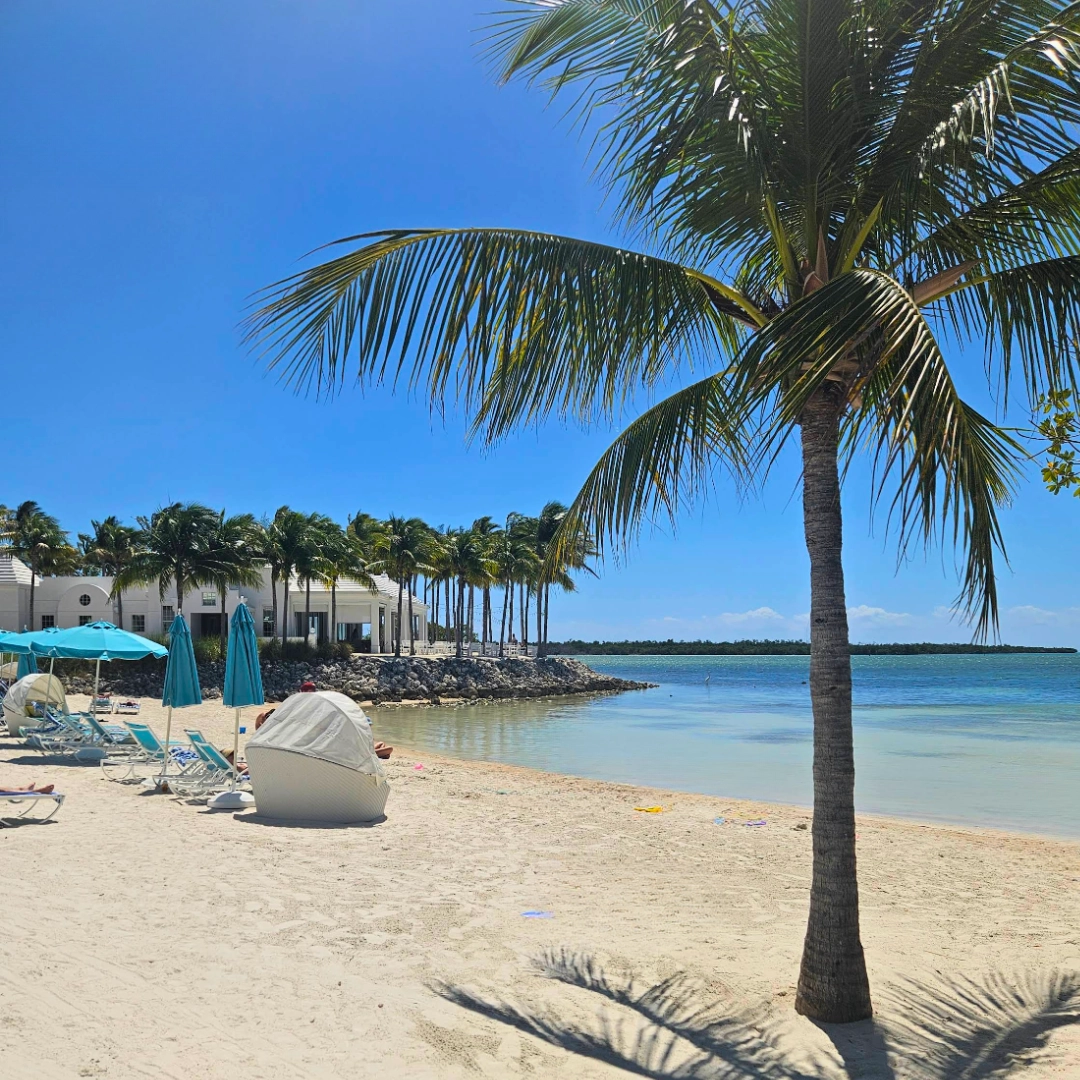 Green Parrot Bar Key West in the Florida Keys