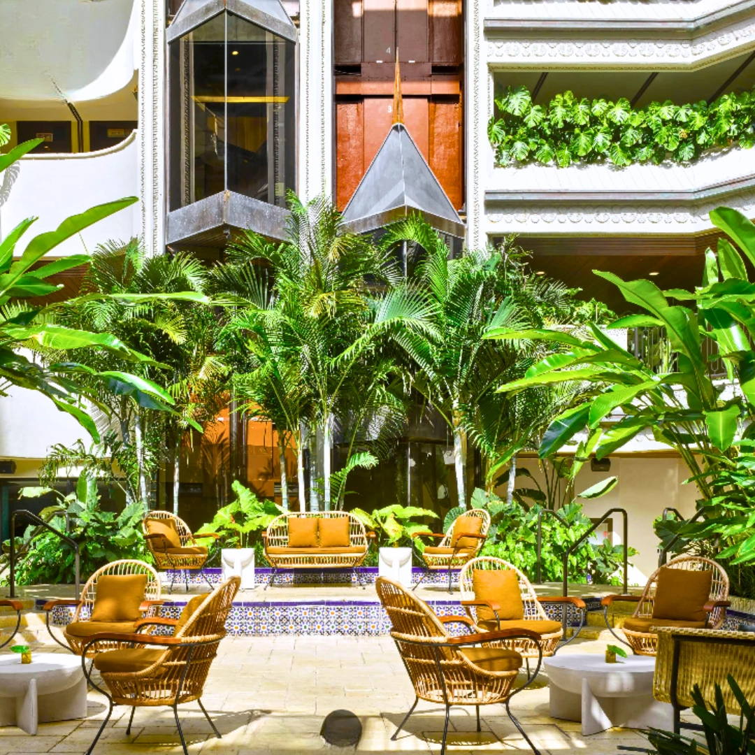 Discover Mayfair House Miami where timeless design meets modern boutique luxury in the heart of Coconut Grove with artistic charm & elevated experiences.