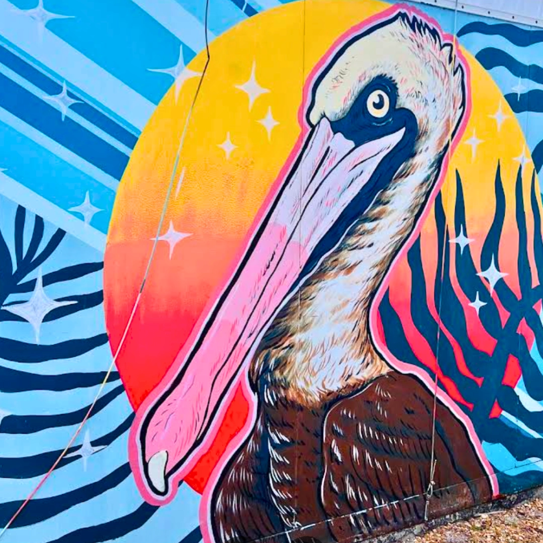 Seaside Seabird Sanctuary in Indian Shores Florida in the Tampa Bay
