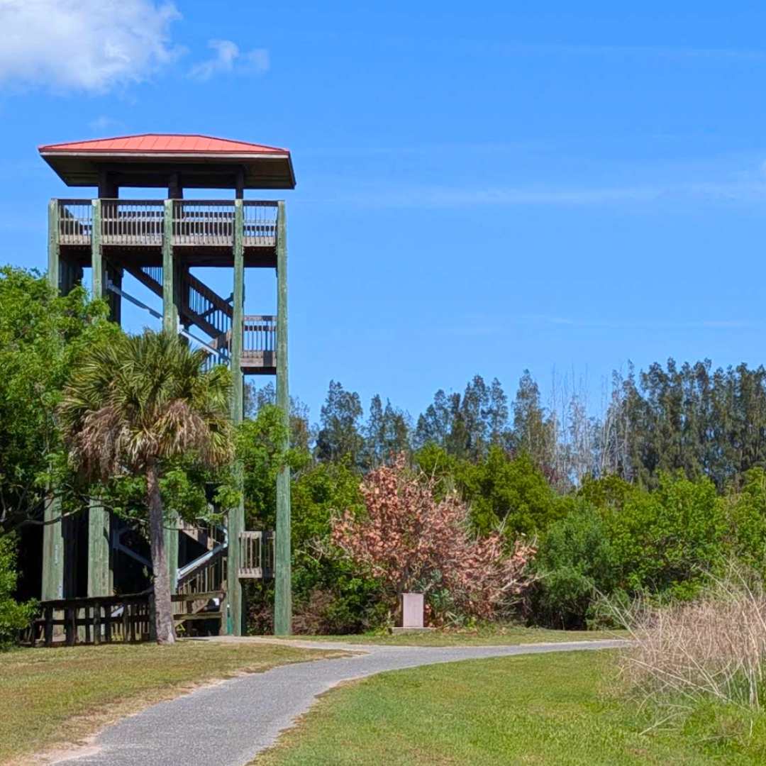 chain of lakes park observation tower in Florida Space Coast