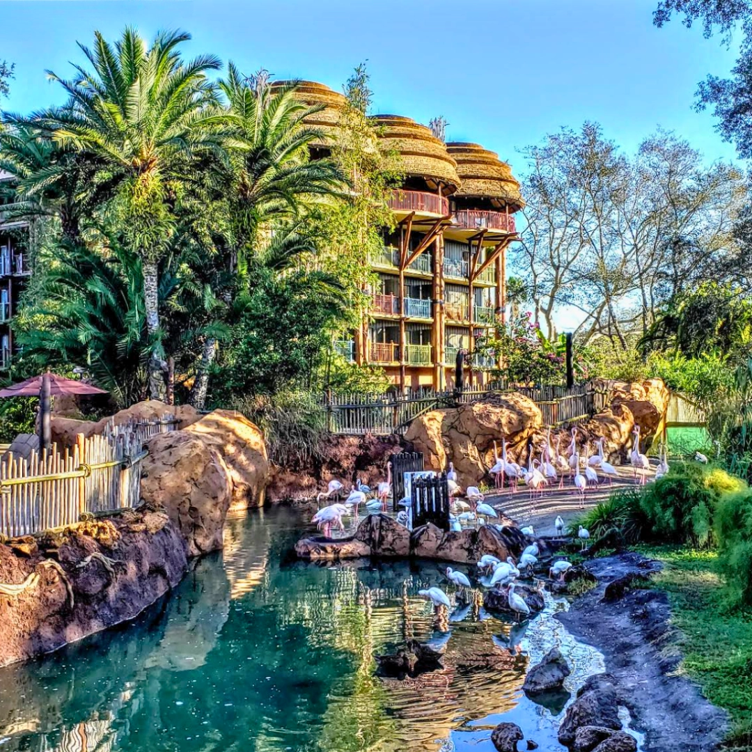 Luxury Hotels in Florida Disney's Animal Kingdom Lodge