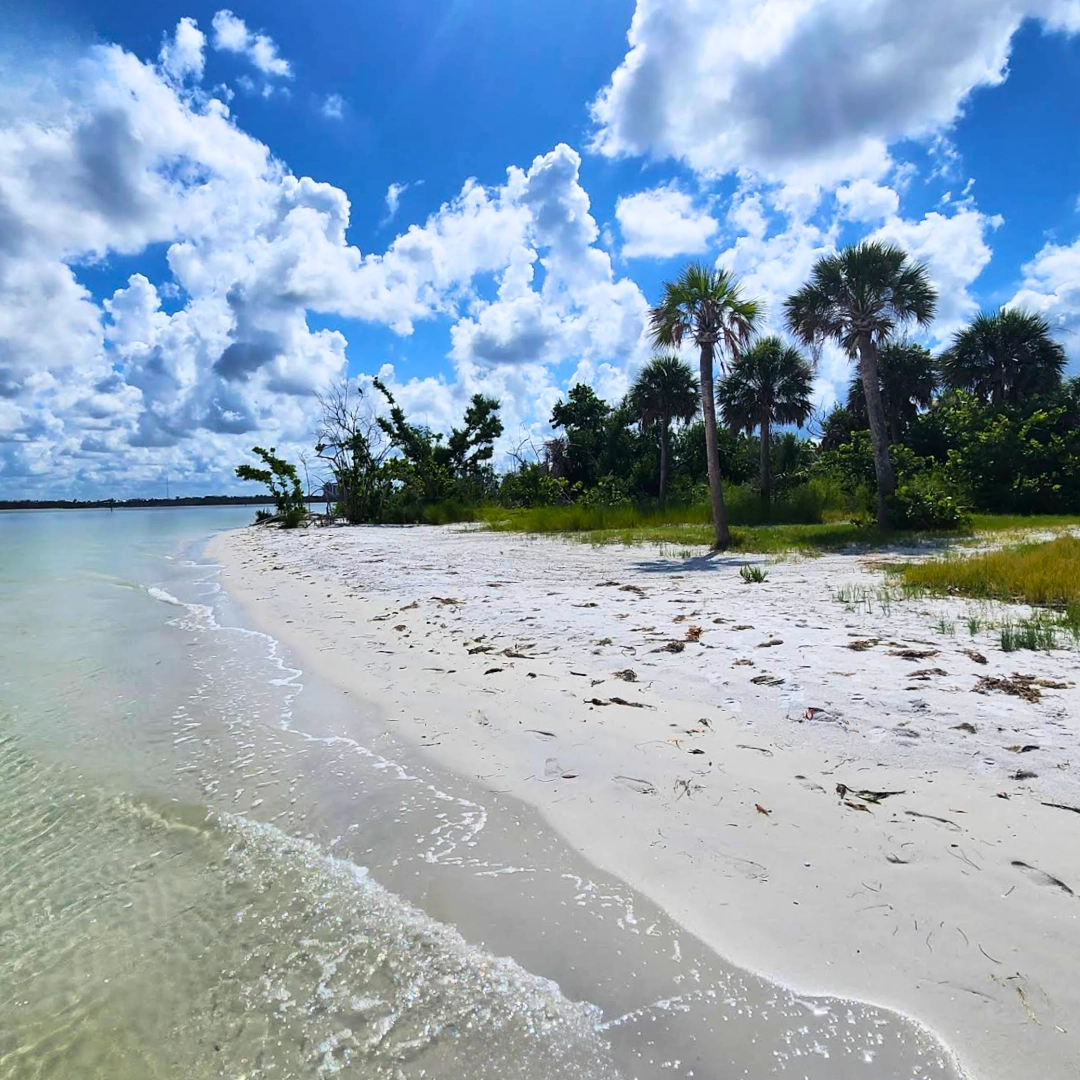 Florida Beaches Bowditch Point Park