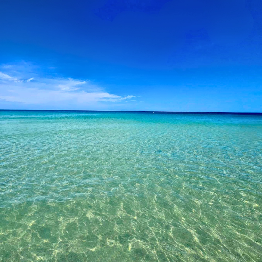 Florida Beaches Caladesi Island State Park