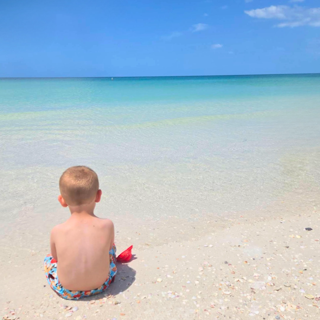 Florida Beaches Caladesi Island State Park