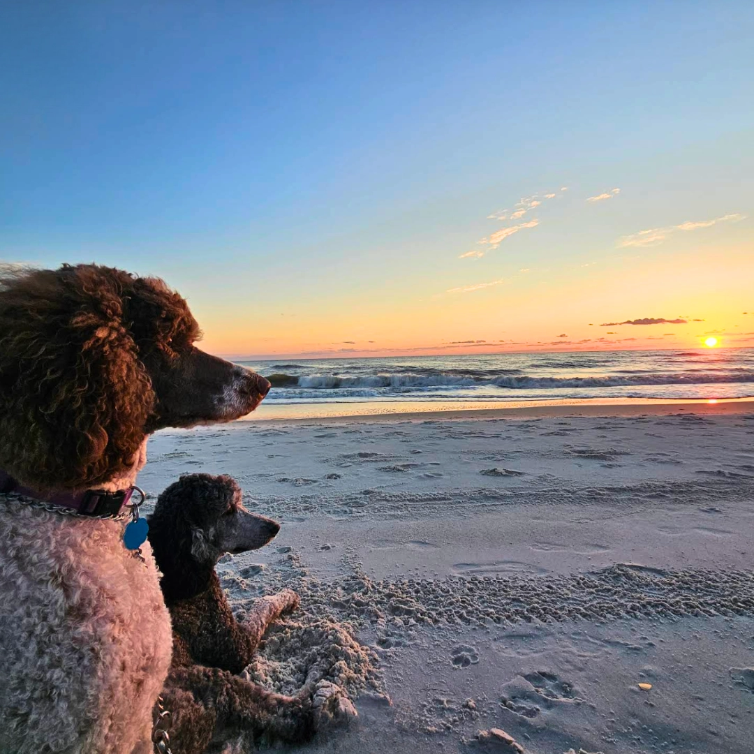 Florida Beaches Cape San Blas
