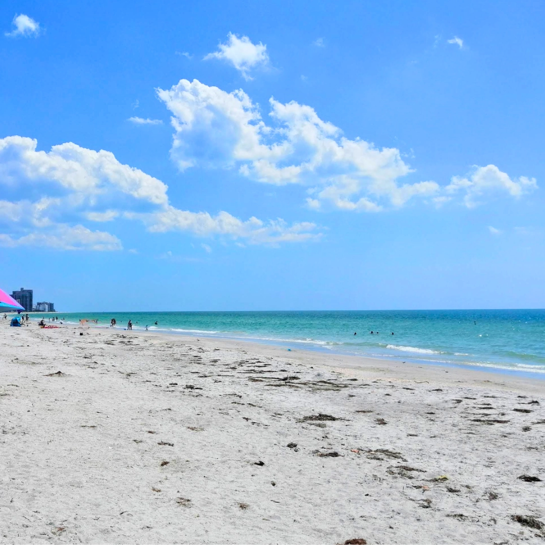 Florida Beaches Clearwater Beach Sand Key Beach Beach