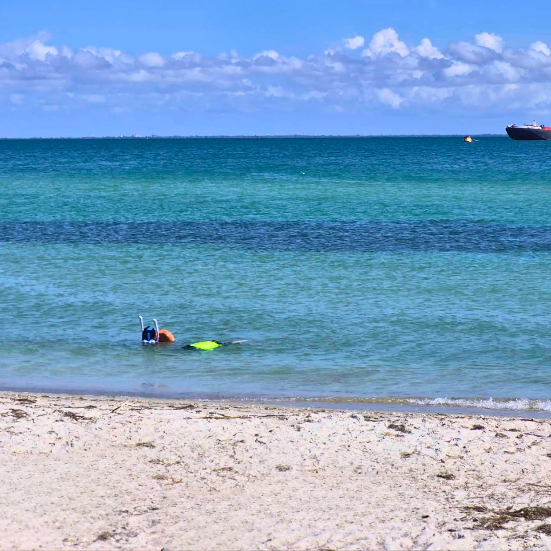 Florida Beaches Fort De Soto Park