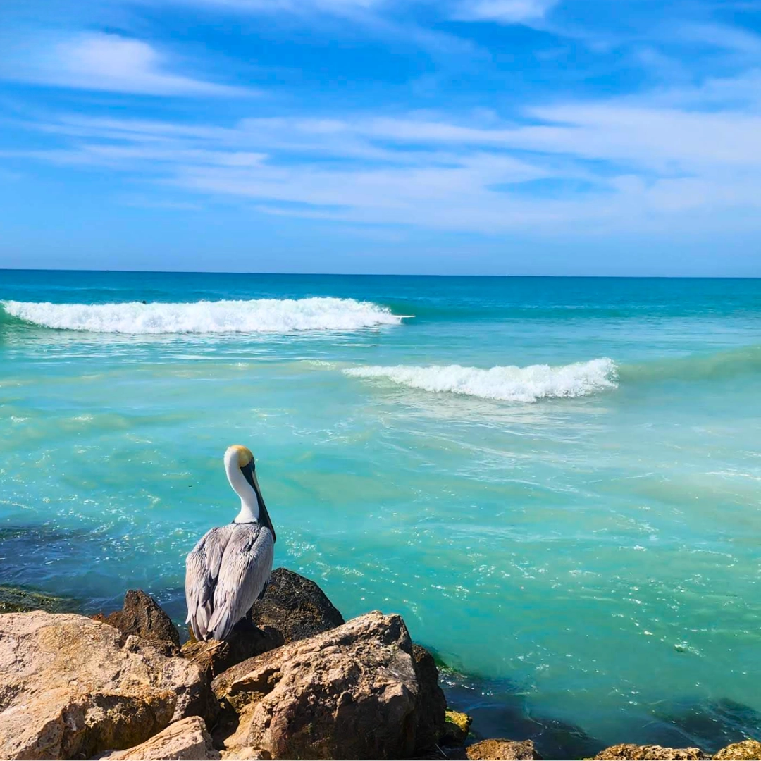 Florida Beaches Nokomis Public Beach